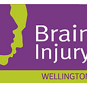 The Brain Injury Association (Wgtn) logo