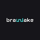 Brainlake Advertising