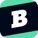 brainly.ro logo