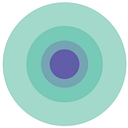 Brainpool logo