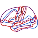 Brainsights