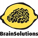 Brain Solutions LLC logo