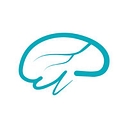 Brain Stream Australia Pty Ltd logo