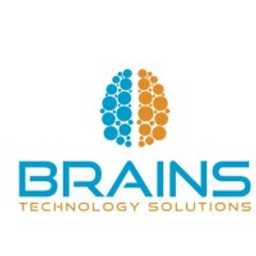 SAGA IT SOLUTIONS, INC logo