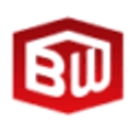 Brainworks logo