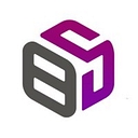 Brainy Scout logo
