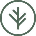 Branch Insurance logo