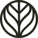 Branch basics
