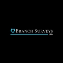 Branch Surveys Limited logo