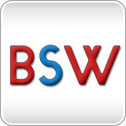 BRANDSCAPES WORLDWIDE CONSULTANCY logo