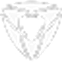 Brand Junkie logo