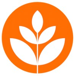 Brand New School LLC logo
