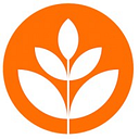 brandnewschool logo