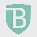 BrandShield Systems Plc logo