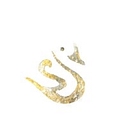 Archived logo