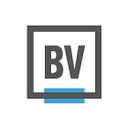 Brandverity logo
