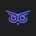 Brandwise: AI Customer Service logo