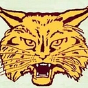 Brandywine Community Schools logo