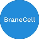 Branecell Systems logo