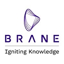 brane enterprises logo