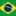 brasiloo.de logo