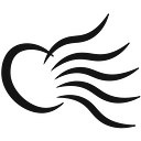 brasilsonoro.com logo