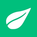 Brauer Natural Medicine logo
