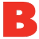 Brauer Material Handling Systems, Inc. logo