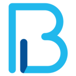 BRAVO IMAGING INC logo
