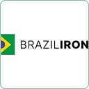Brazil Iron Limited logo