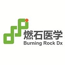 BNR - BURNING ROCK BIOTECH LTD
