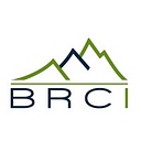 Brci logo
