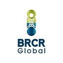 Brcr Global logo