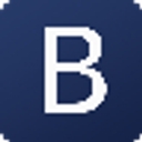 Brean Strategic Advisors Llc logo