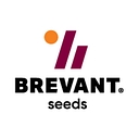 Brevant