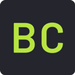 Brian Casel logo