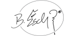 brianesch.com logo