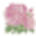 Village of Briarcliff Manor logo
