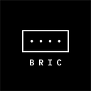 Bric Foundation logo