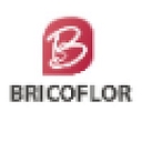 bricoflor.fr logo