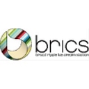 Brics logo
