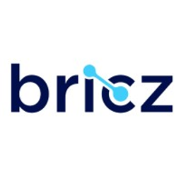Bricz, LLC logo
