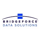 Bridgeforce Data Solutions logo