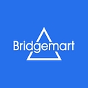 Bridge Safety Vision logo