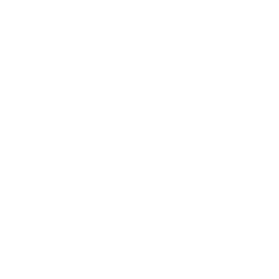 BridgePort Logo