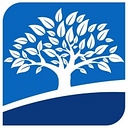 Bridgetree logo