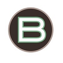 Bridgewater Advisors Inc. logo