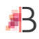 Bridgewater Consulting Group, Inc. logo