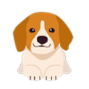The Bridlemile Foundation logo