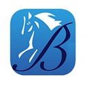 Bridlewood Insurance Services Inc. logo